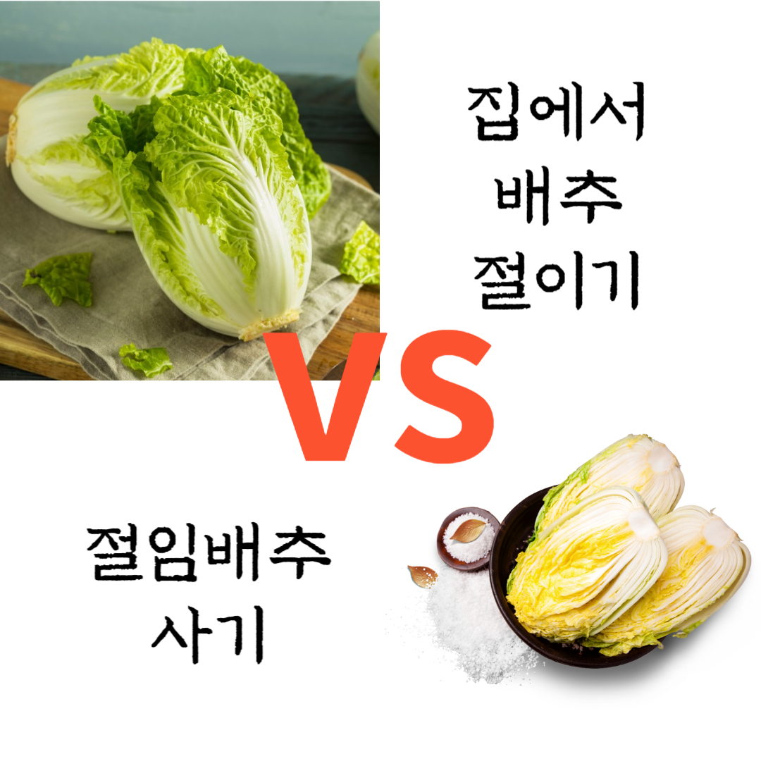 절임배추