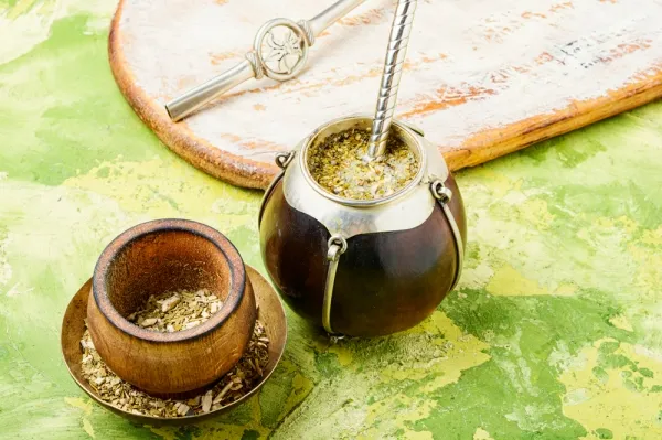 마테차 효능 11가지 및 부작용에 대해서 알아보기_7