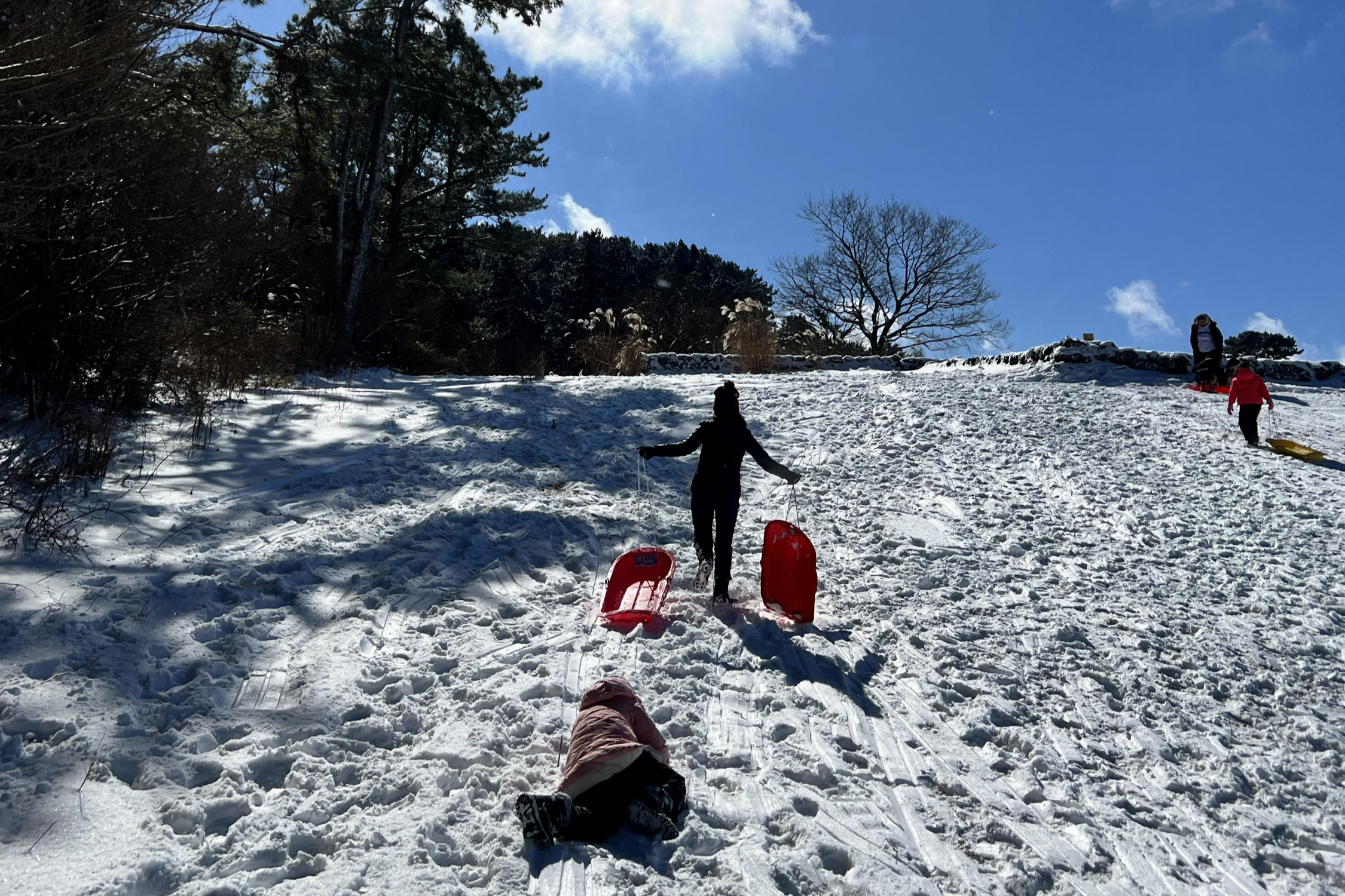 제주 눈썰매 스팟 주차 위치 파는곳