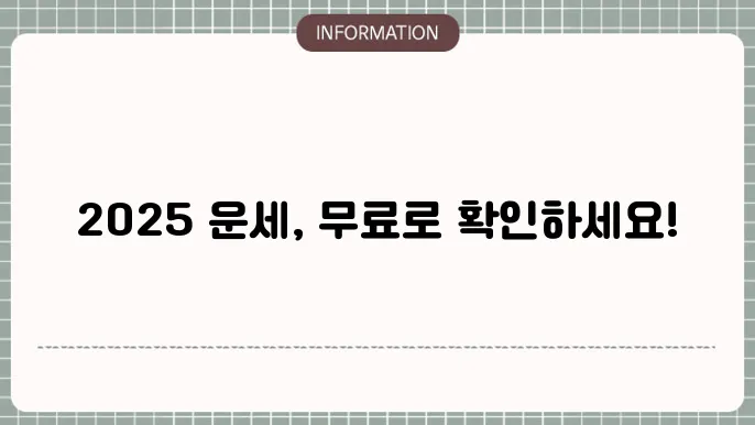 운세분석기 소개