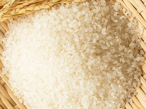 가루쌀과 일반쌀의 정의와 특징, 차이점, 활용법