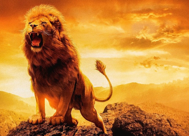 라이온 킹