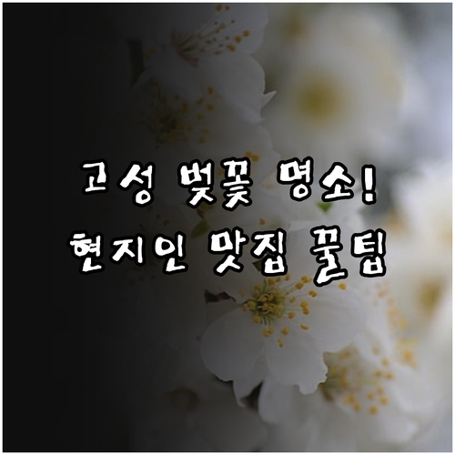경남 고성 벚꽃 구경하기 좋은 곳과 ..
