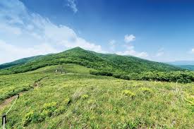 여름에 걷기 좋은 숲길 10