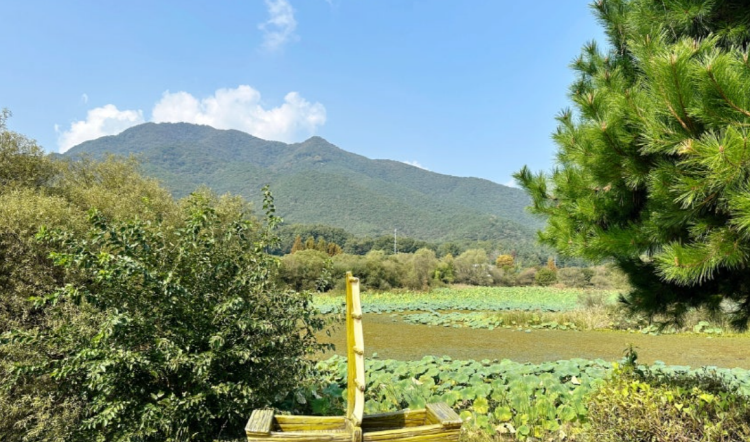 남양주 물의정원