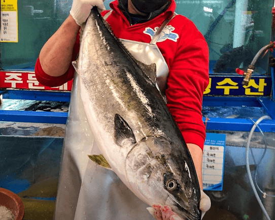 대구 화원읍 현지인 맛집 서민회수산 화원진천점, 로컬 찐 맛집 추천