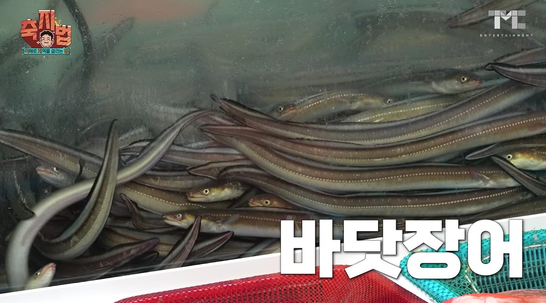 2024-통영-어부장터