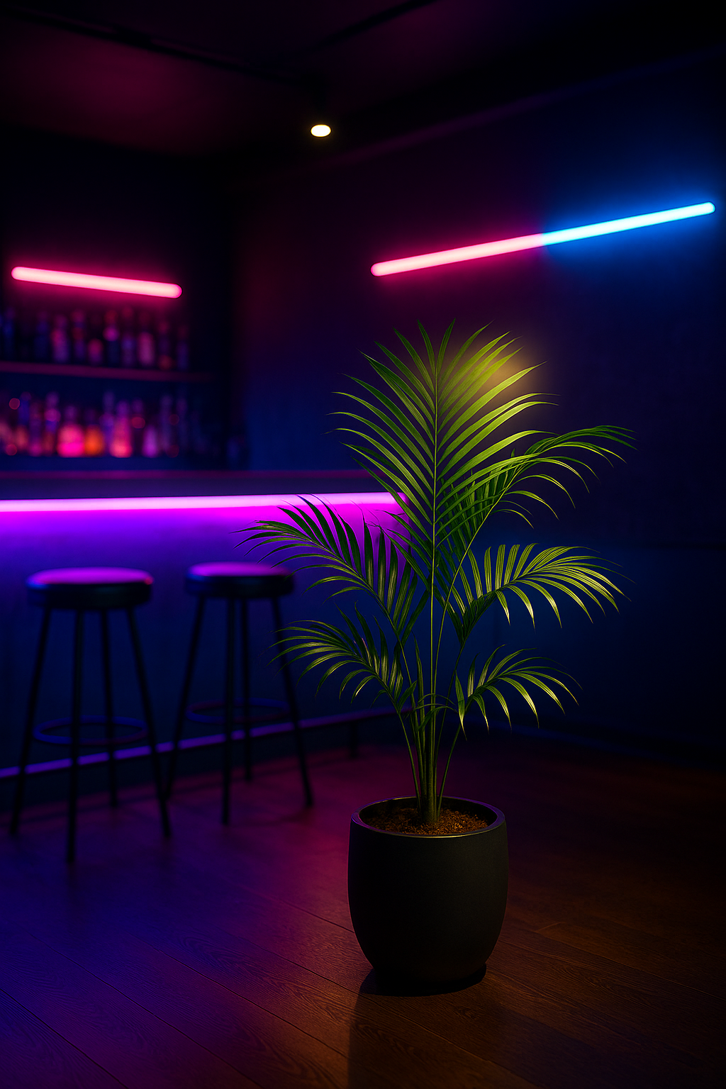 네온 조명이 감도는 바 테이블 옆, 무광 블랙 화분 속 이레카야자
