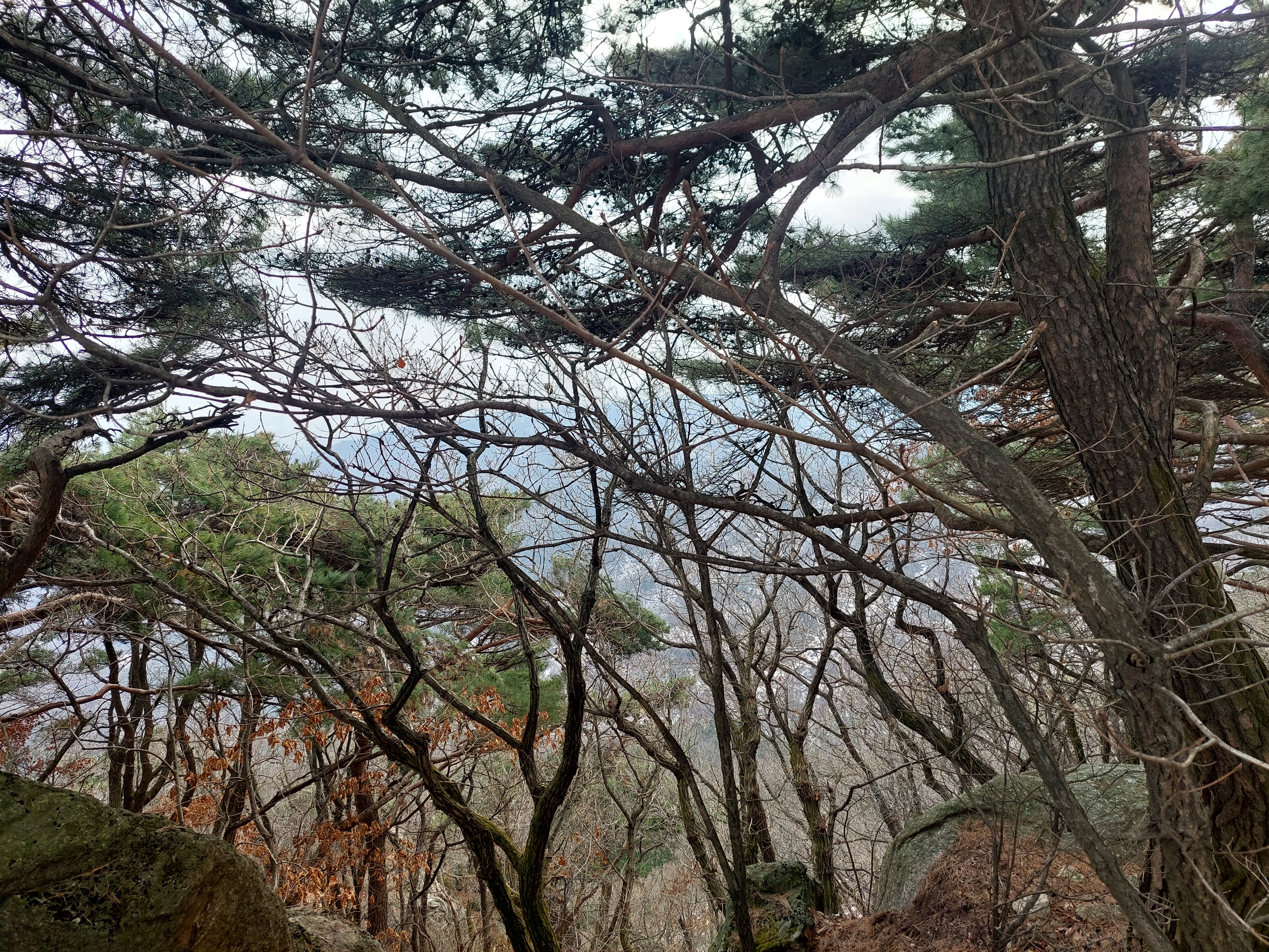 청계산