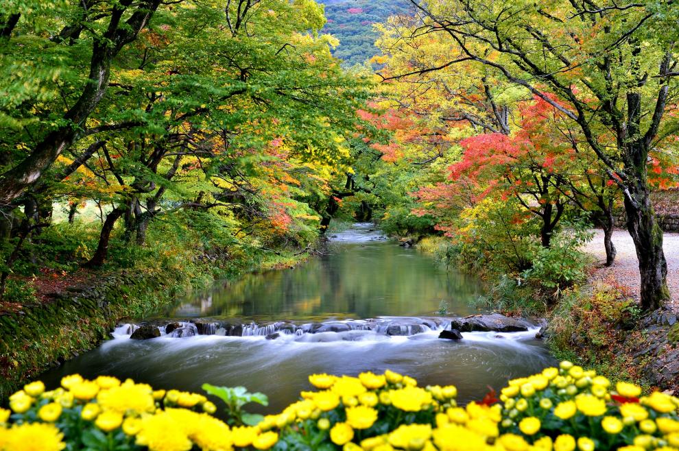 고창 가볼 만한 곳