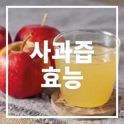 사과즙 효능