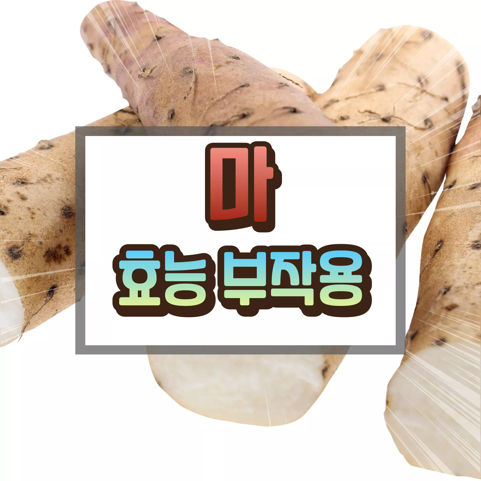 마 효능 부작용