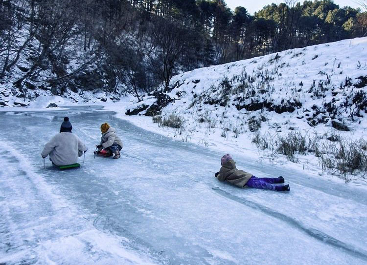 가평군 캠프올모 캠핑장 소개
