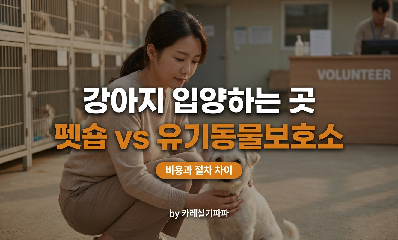 보호소에서 강아지를 안아보는 여성