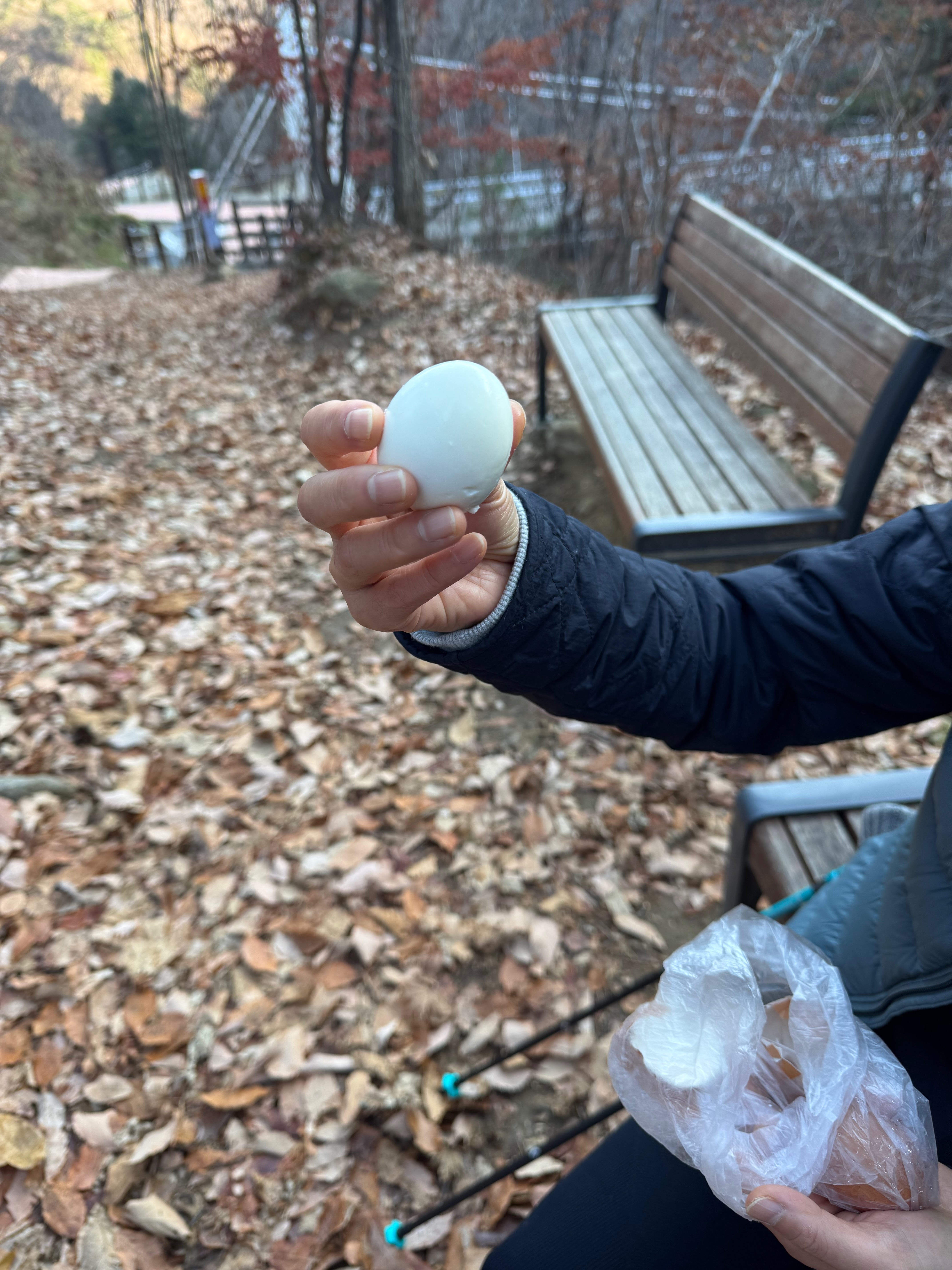 삶은 달걀 간식