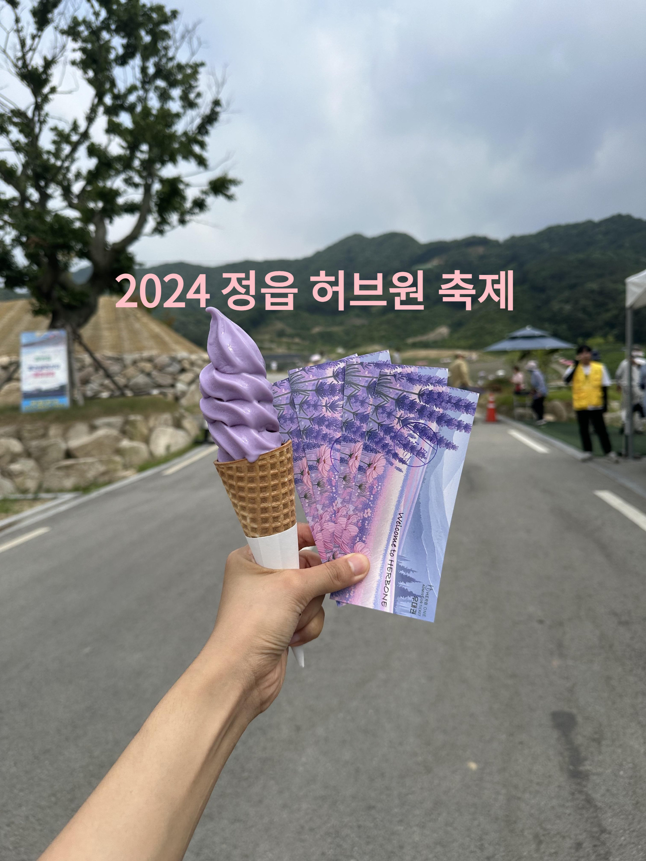 2024 정읍 허브원 라벤더 축제 