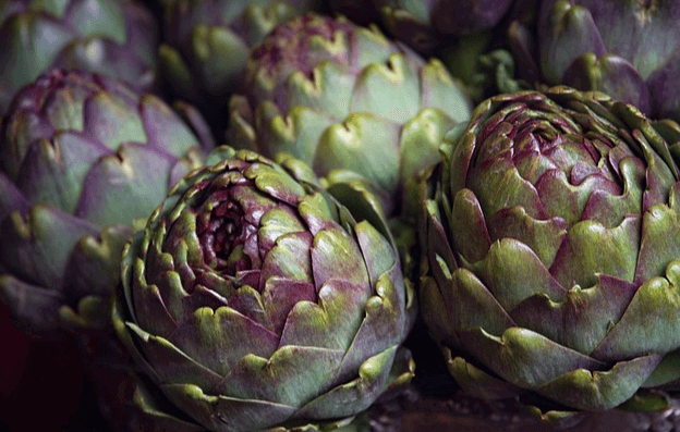 연두색에 보라색이 섞인 아티초크 여러개가 진열됐다. 잎은 겹겹이 포개져있고, 모양은 둥그럽다.