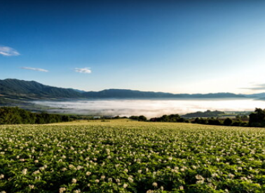 숲나들e 홈페이지 실시간 예약방법