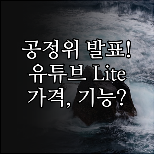 공정위 동의의결 유튜브 라이트 요금제..