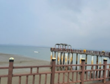 강아지랑 제부도 여행