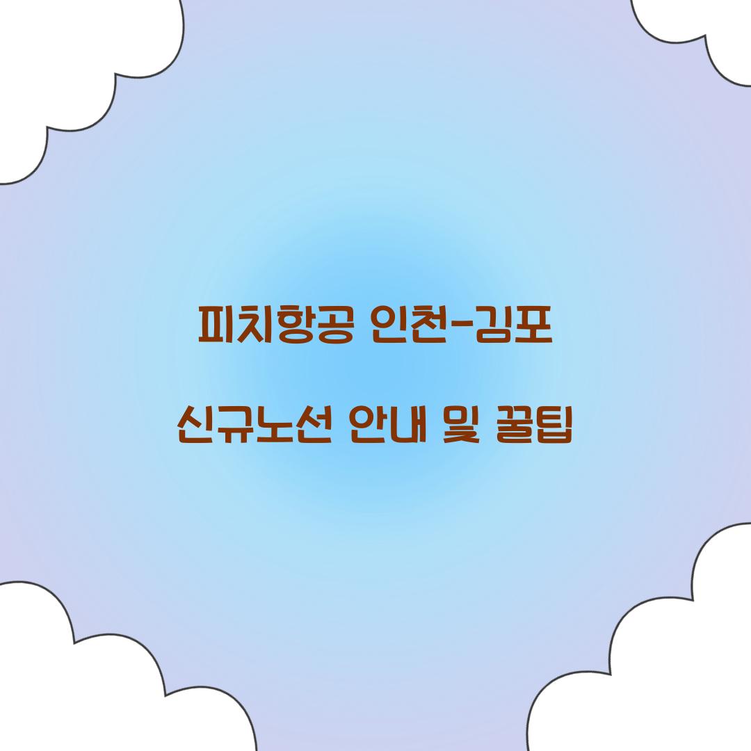 피치항공 인천 김포
