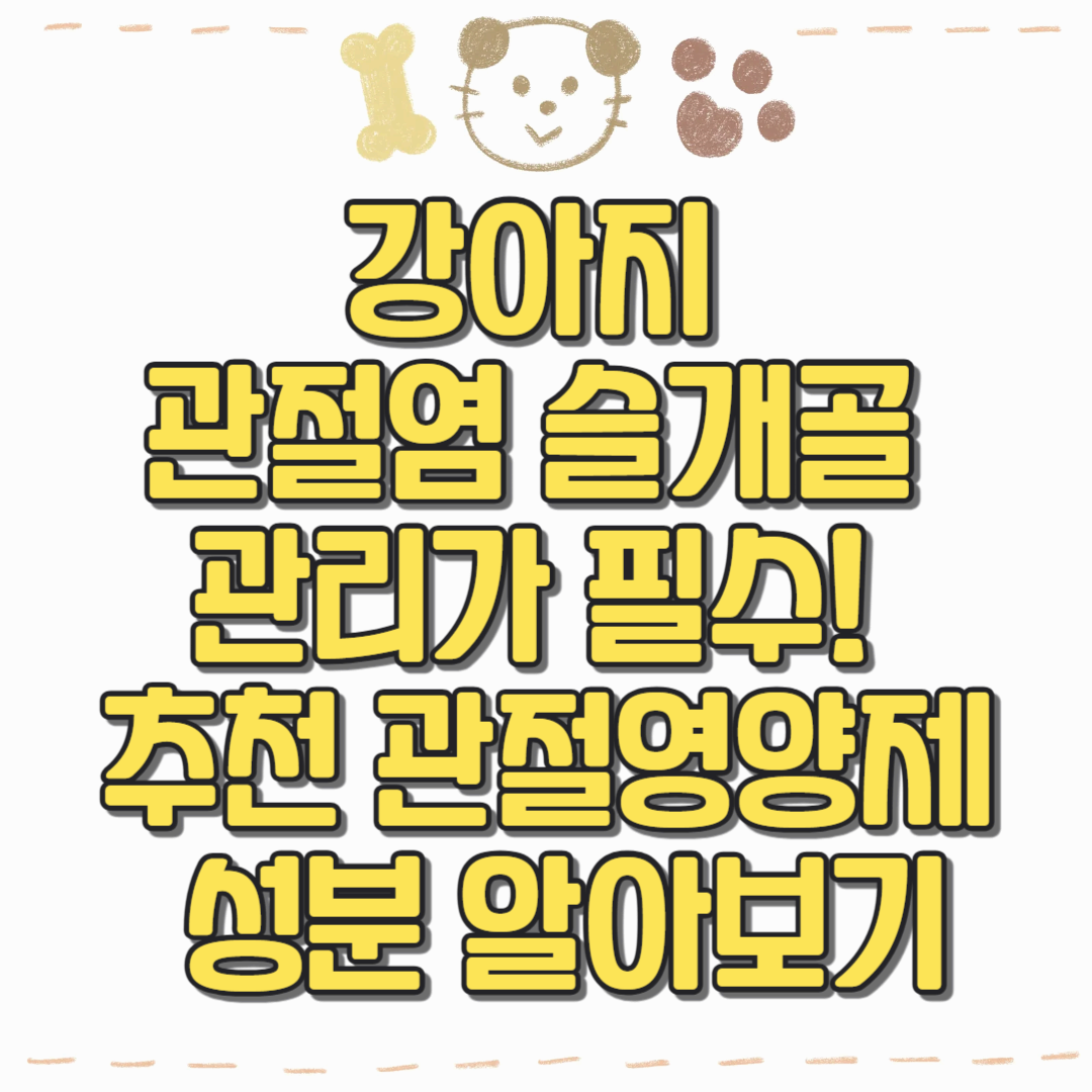 강아지 관절염 슬개골 관리가 필수! 추천 관절영양제 성분 알아보기