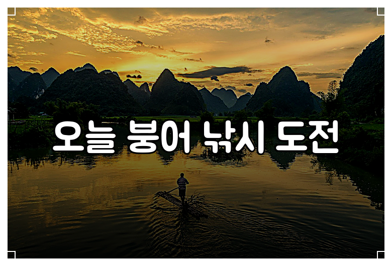 오늘 붕어 낚시 도전