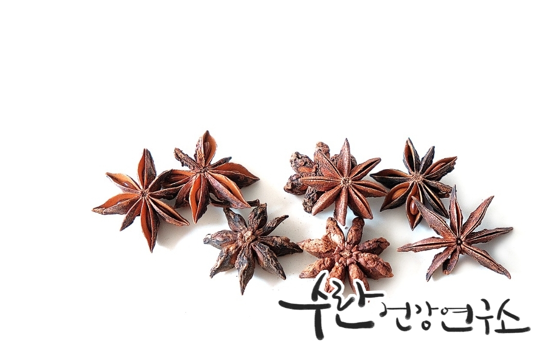 경옥고 효능 가격 광동경옥고