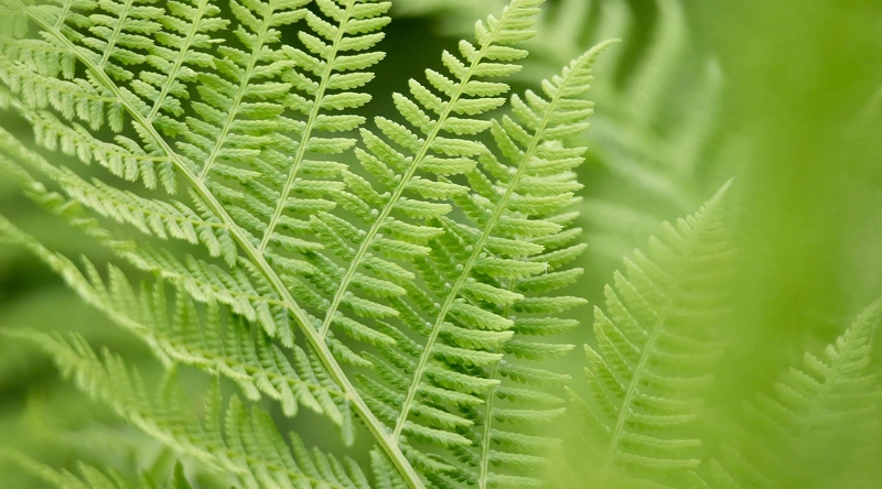 품질관리의 기본 개념