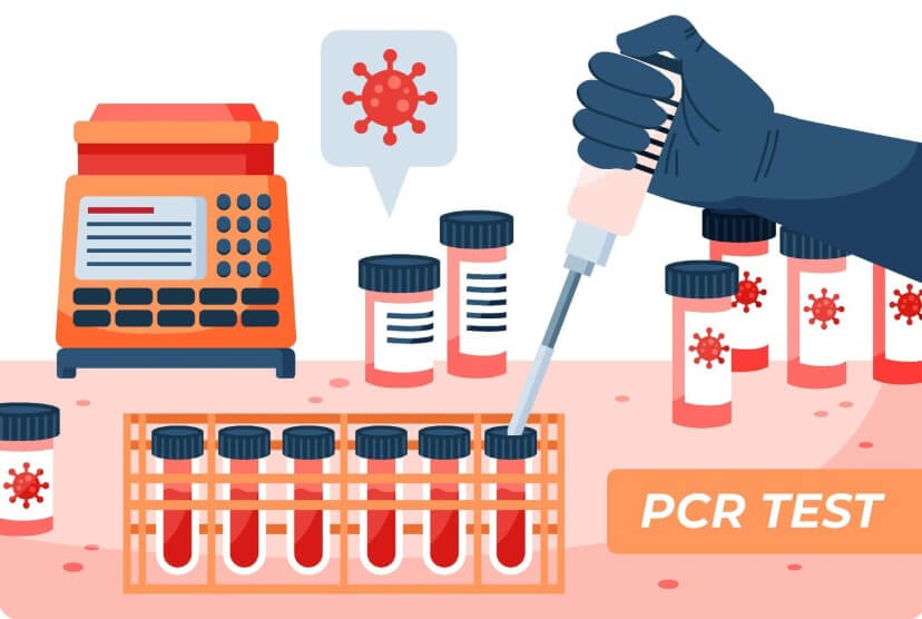조직 검사하는 모습