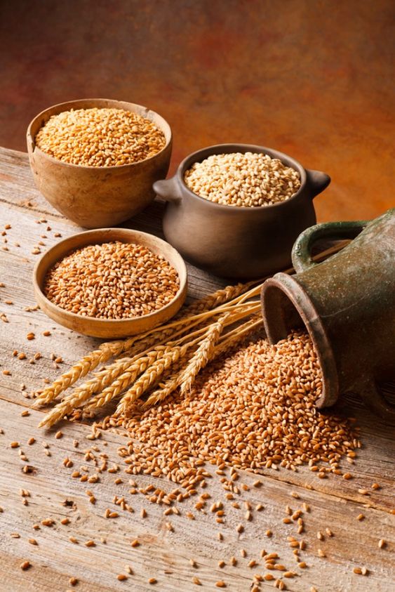 당뇨 초기증상 원인 예방 방법 혈당 낮추는 식단