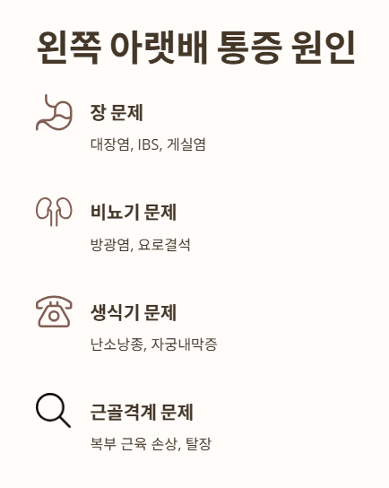 왼쪽 아랫배 통증 원인