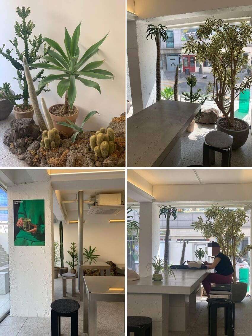 내부 선인장 및 슈퍼말차 포스터