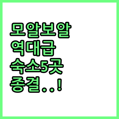 세부 모알보알 숙소 추천 베스트 5 ..