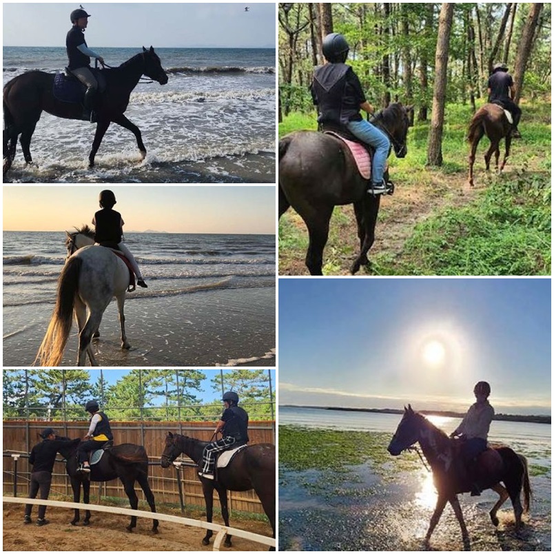 고창 명사십리 해변: 말을 타고 해변을 달려보는 시간