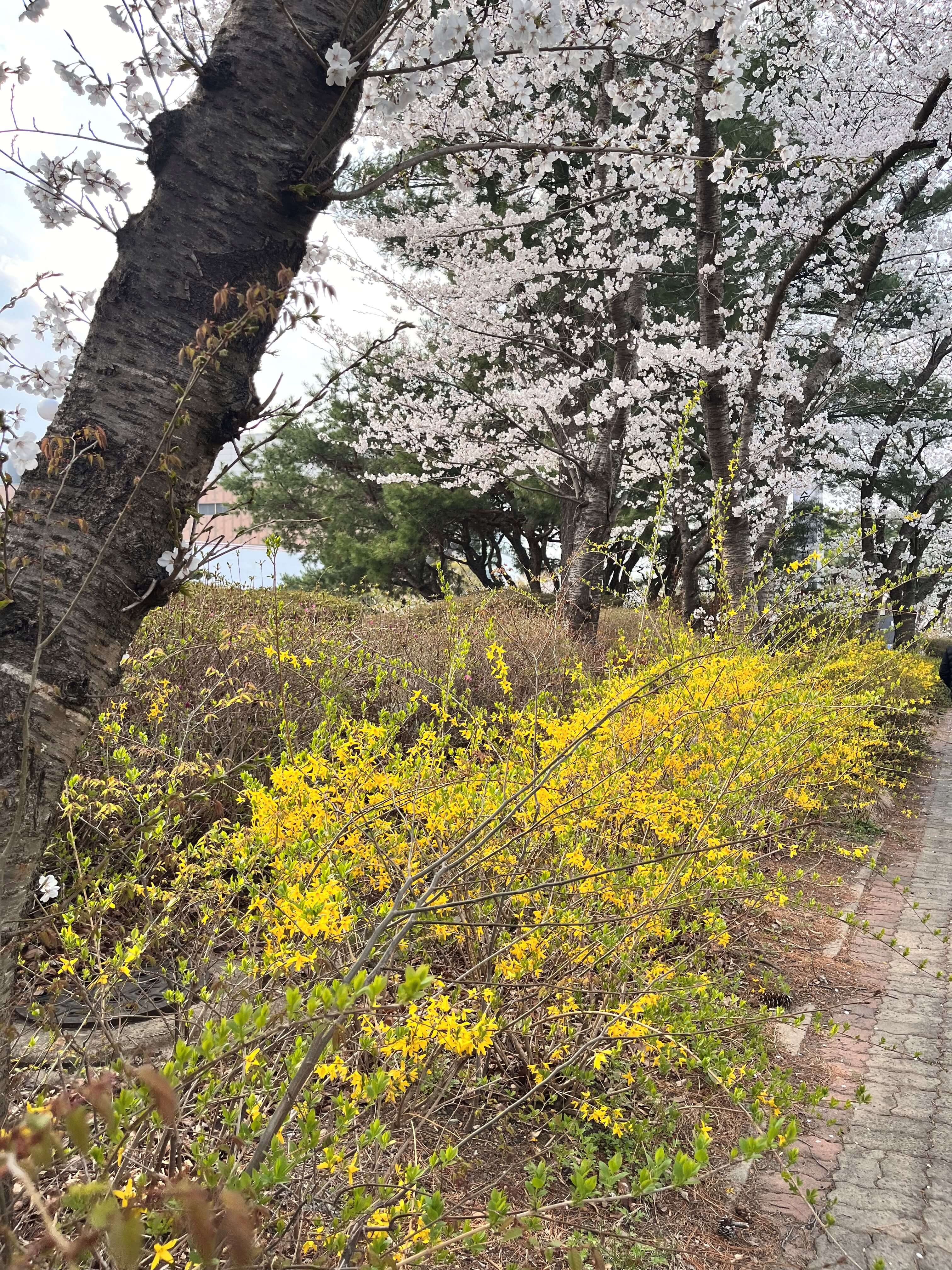 경주 황룡원