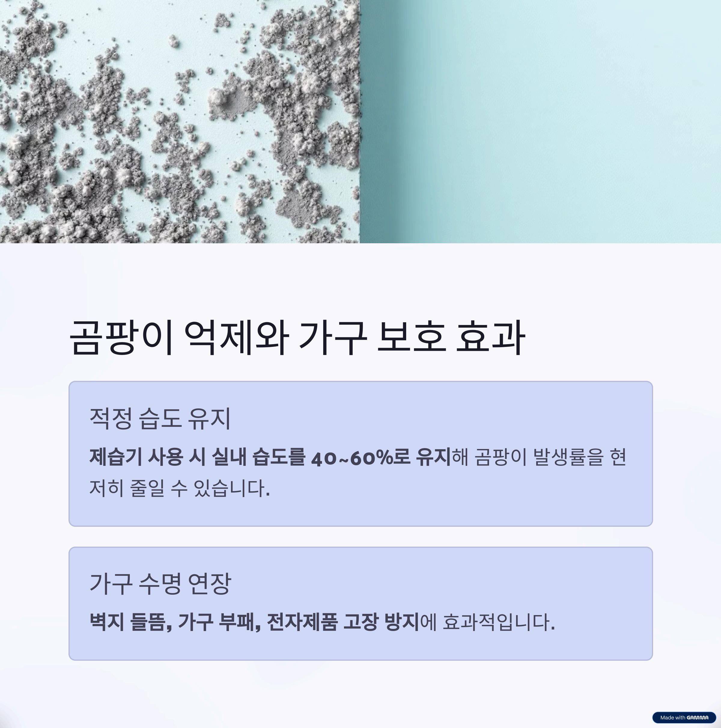 “장마철 제습기 필수템! 곰팡이, 건강, 냄새까지 해결하는 이유”