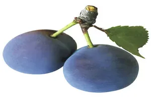 자두