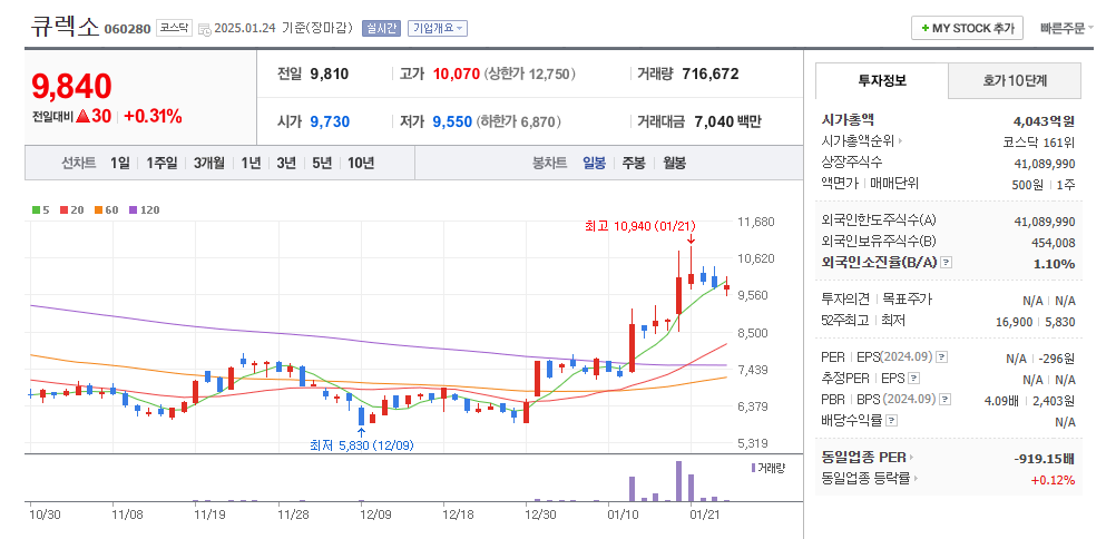 딥시크 주식