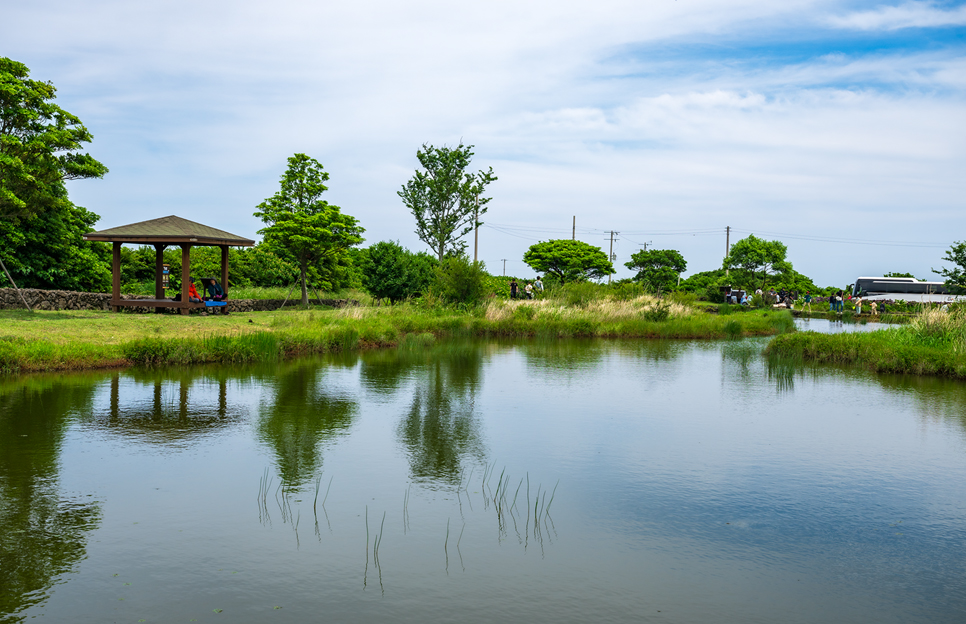제주 동쪽 가볼만한곳 (수산한못)