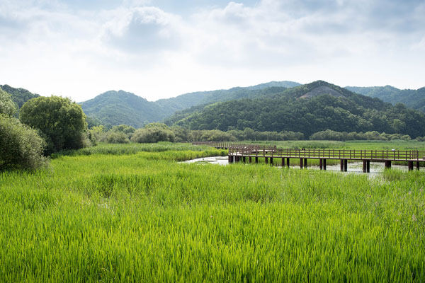 합천 정양늪생태공원(대양면)