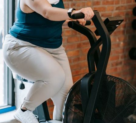 bmi 정상범위 지수 의미