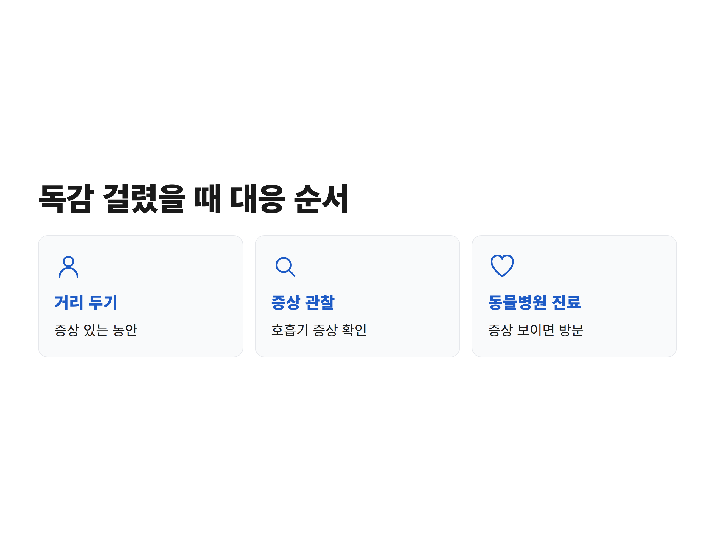 보호자가 독감에 걸렸을 때 반려동물과 거리를 두고 증상을 살피고 동물병원을 찾는 순서를 정리한 흐름도