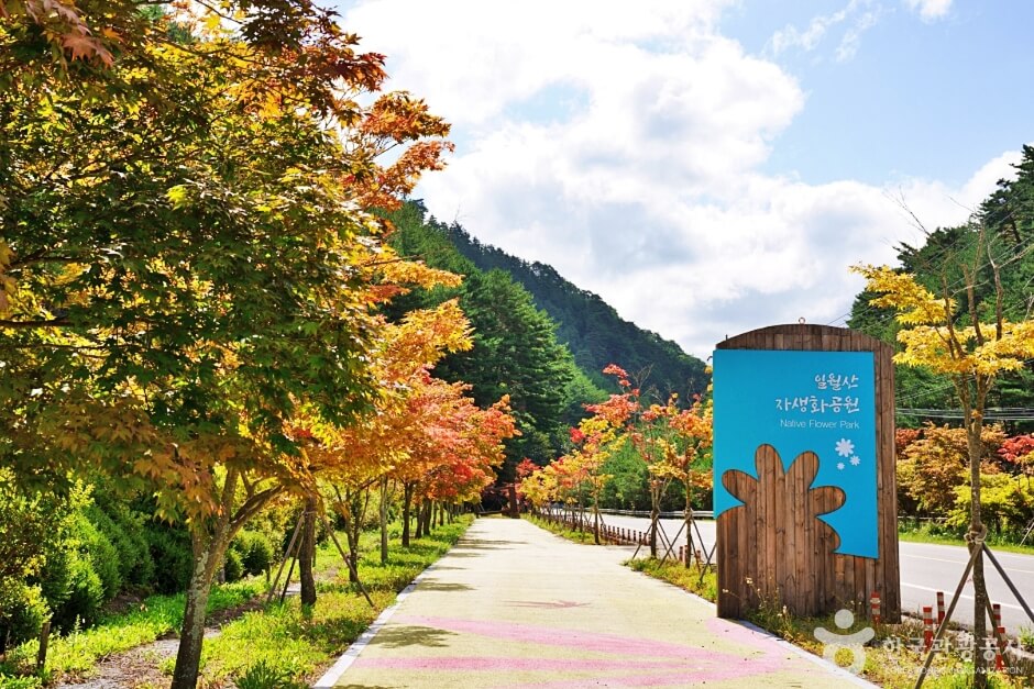 영양 가볼만한곳 베스트 10