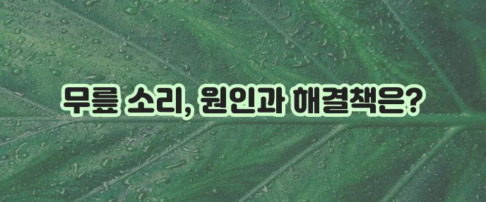 무릎에서 뚝뚝 소리 나는 이유 6가지와 대처법을 알아봐요!
