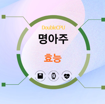 명아주 효능
