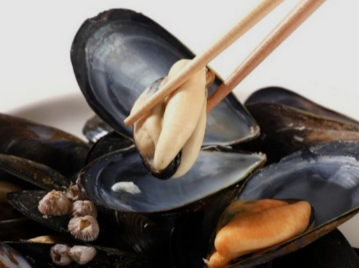 타우린-많은-음식