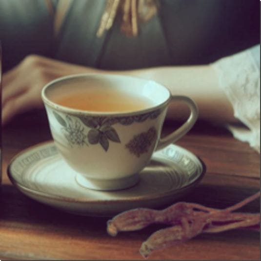 진세노사이드 섭취량과 복용법