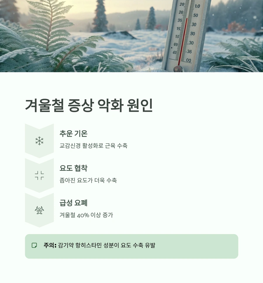 겨울철 전립선 증상 악화 원인과 교감신경 영향 정리
