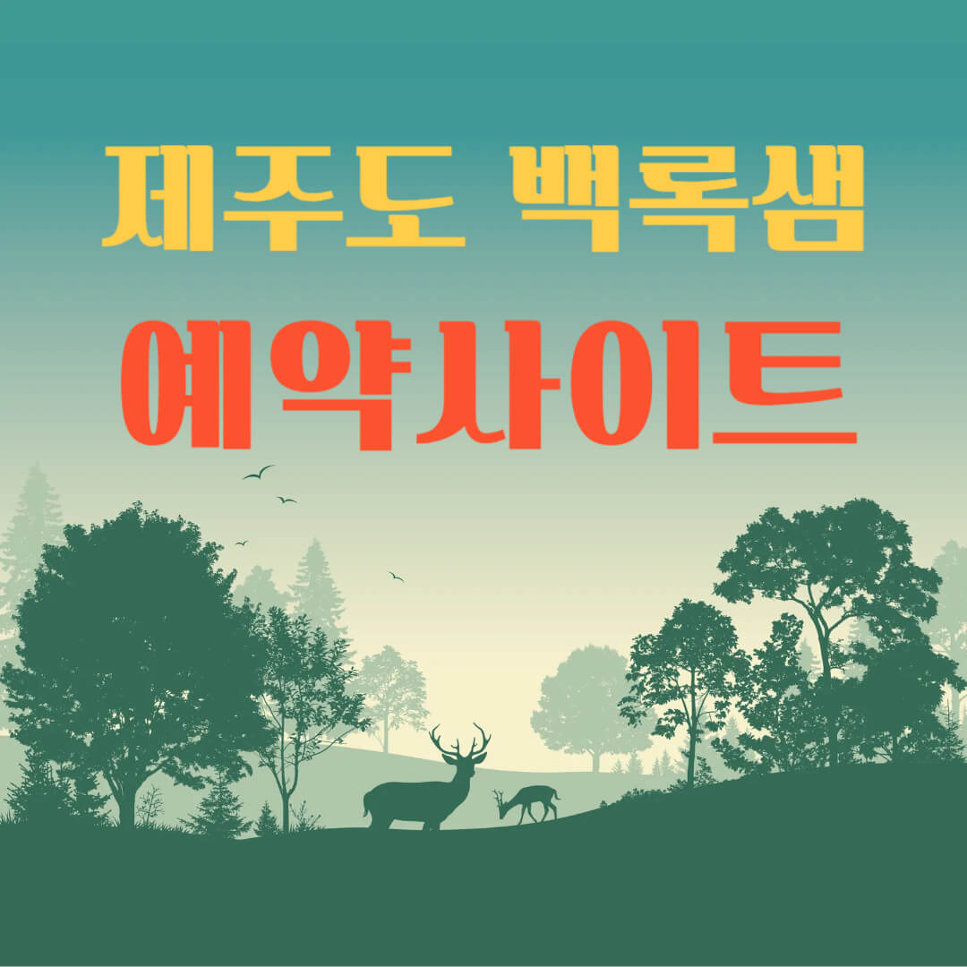 백록샘-예약사이트